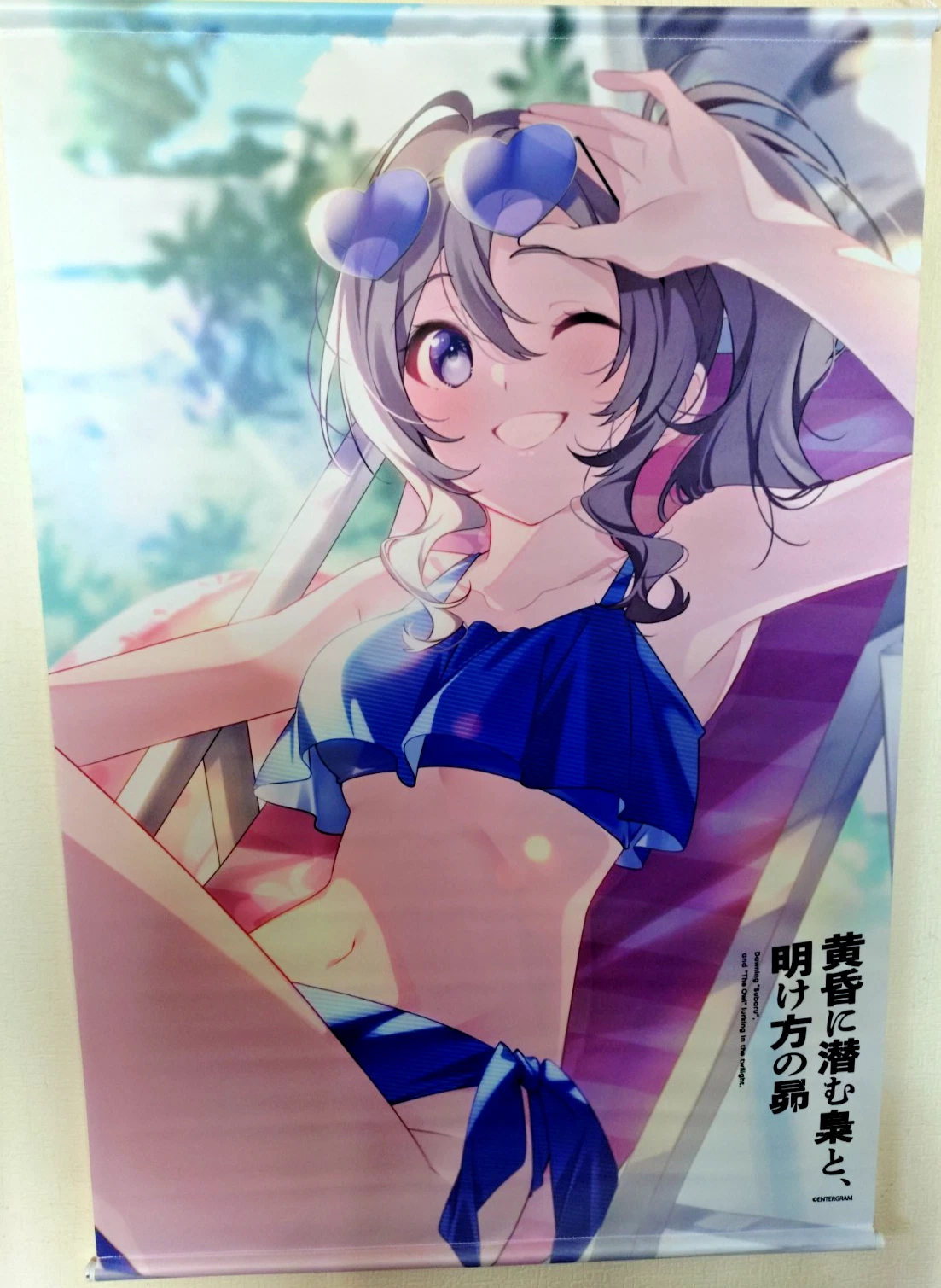 Hoka Takamura B2 Tapestry U35 Anime Art Twilight Owl Dawn Subaru Japanese Game